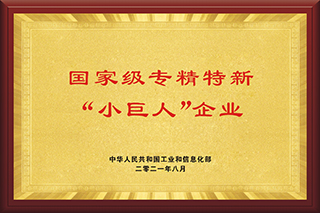 国家级专精特新